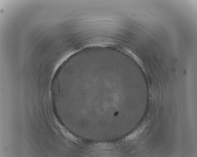 X0000073700779200608101812