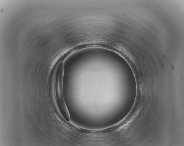 X0000073700781200608101812