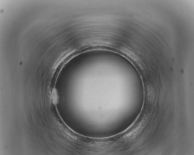 X0000073700782200608101812