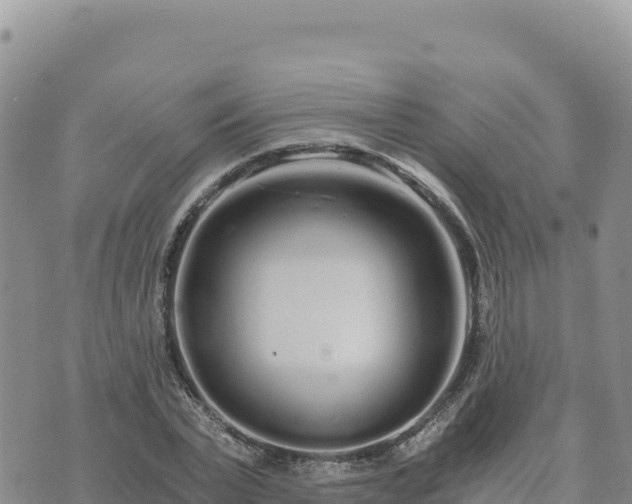 X0000073700783200608101812