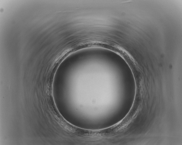 X0000073700785200608101812