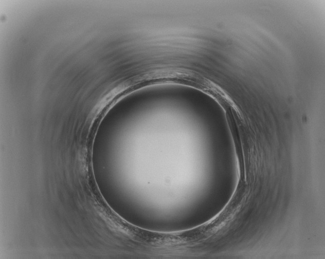 X0000073700786200608101812