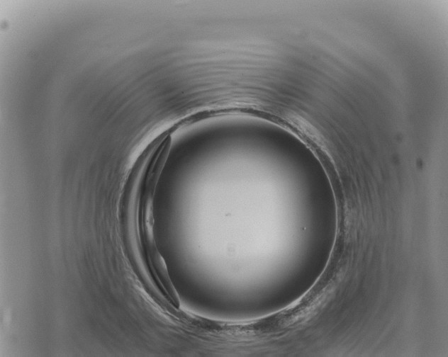 X0000073700789200608101812