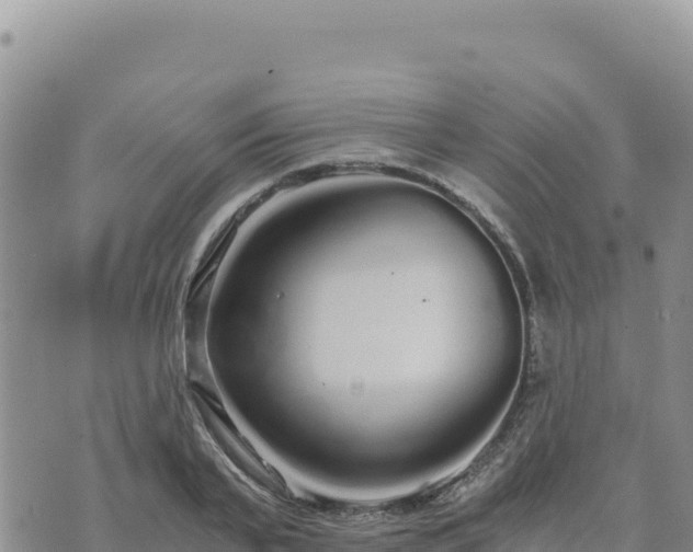 X0000073700791200608101812