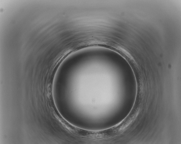 X0000073700793200608101812