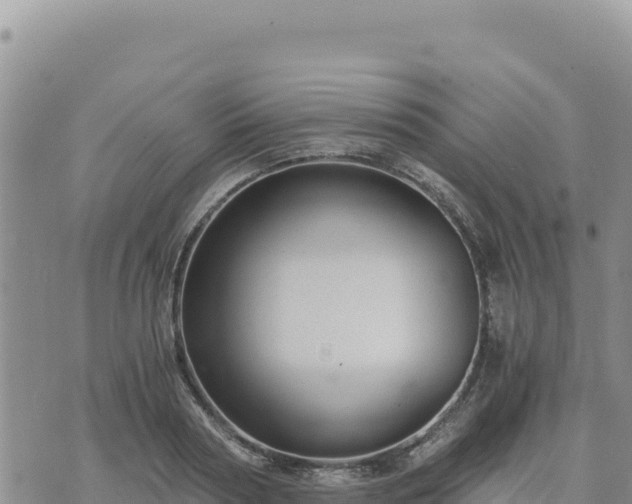 X0000073700794200608101812