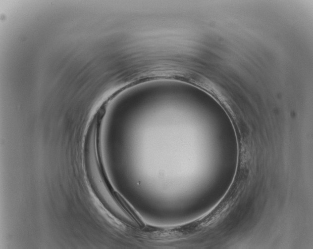 X0000073700795200608101812