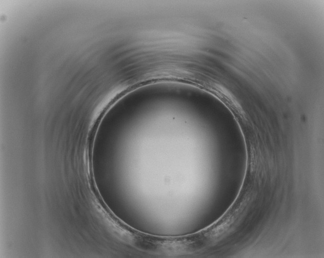 X0000073700796200608101812