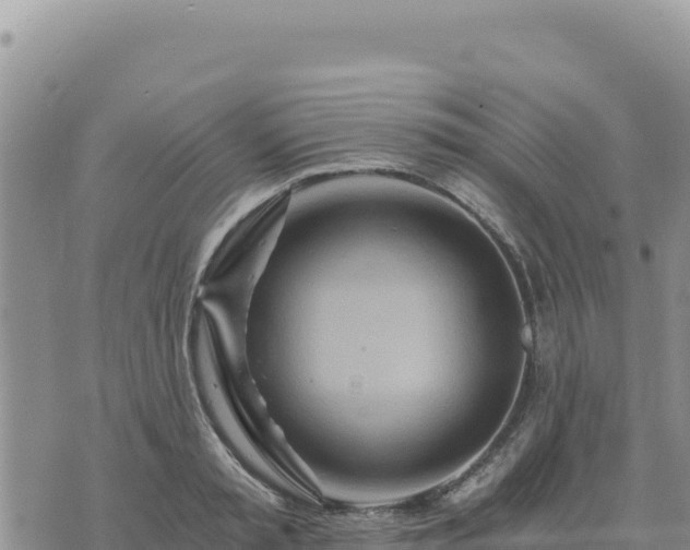 X0000073700797200608101812