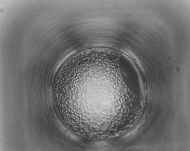 X0000073700798200608101812