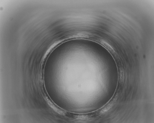 X0000073700800200608101812