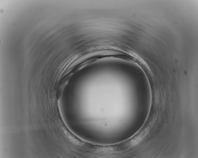 X0000073700801200608101812