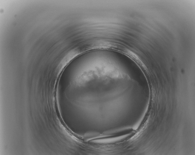 X0000073700802200608101812