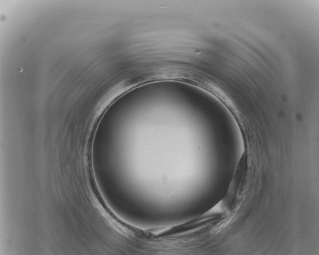 X0000073700803200608101812