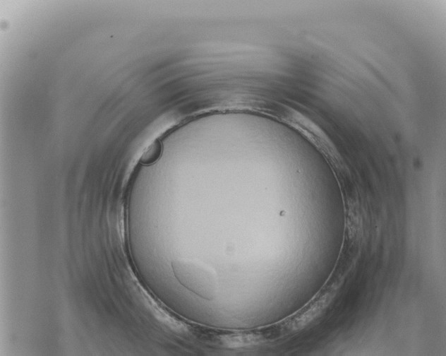 X0000073700804200608101812