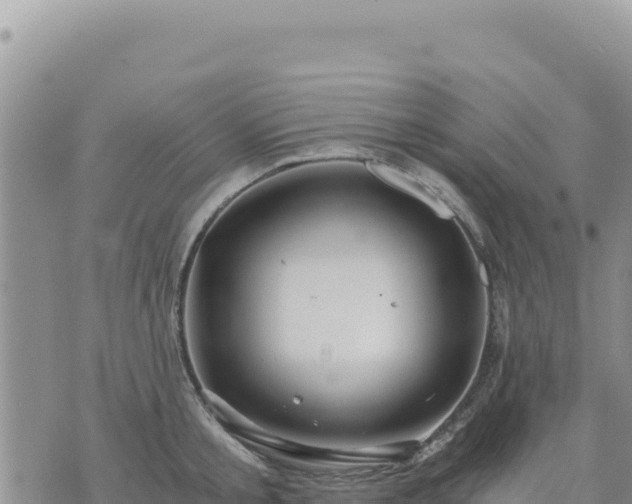 X0000073700805200608101812