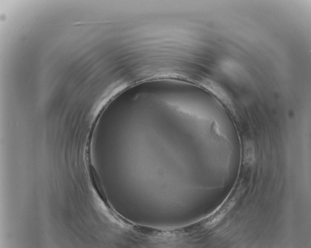 X0000073700806200608101812