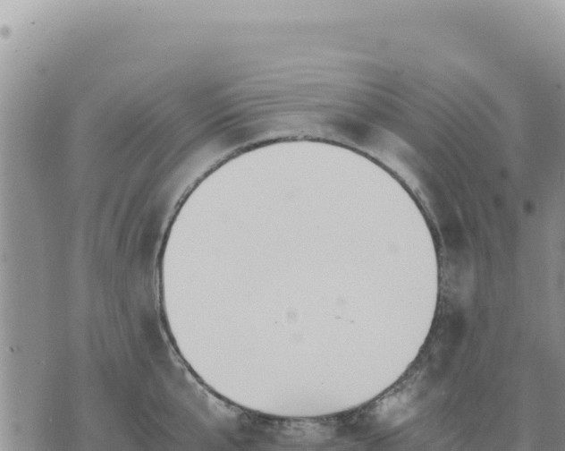 X0000073700807200608101812