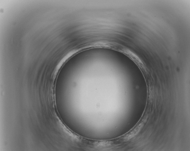 X0000073700808200608101812