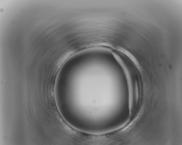 X0000073700809200608101812