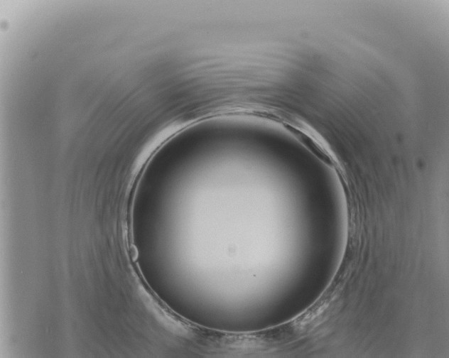 X0000073700811200608101812