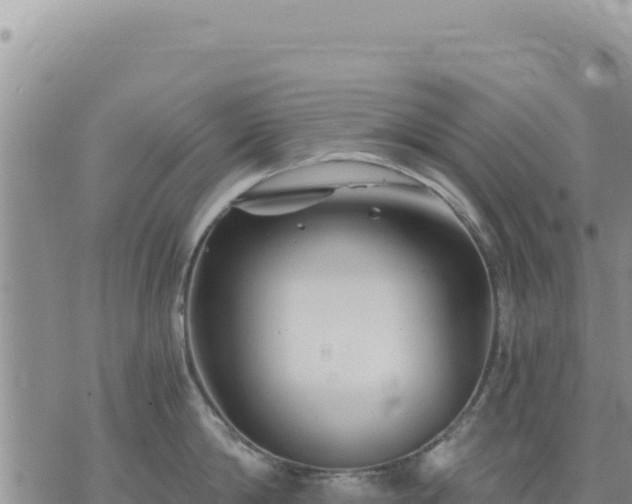 X0000073700814200608101812