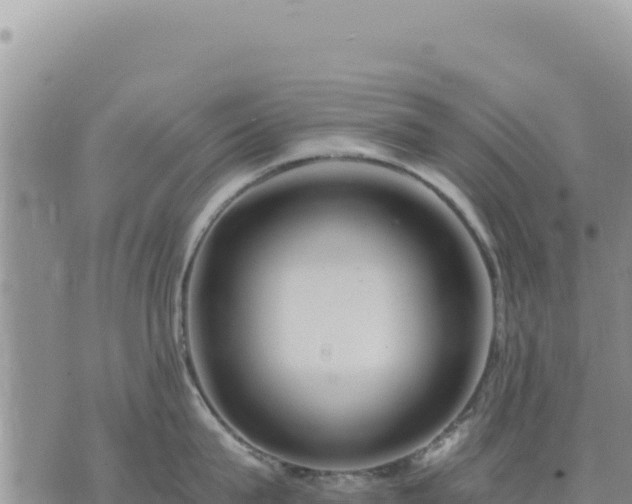 X0000073700815200608101812