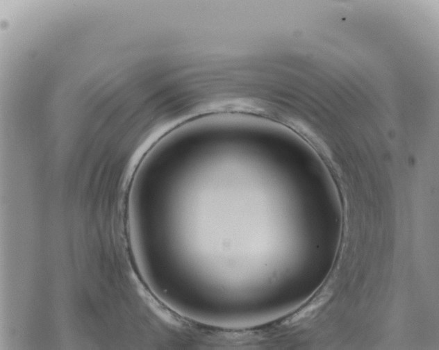 X0000073700816200608101812