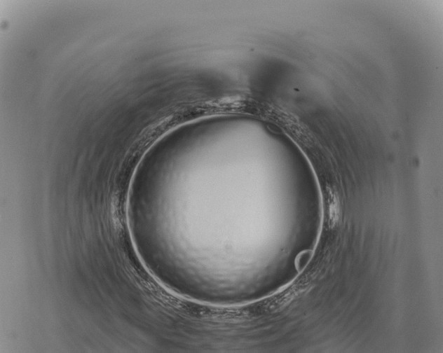 X0000073700819200608101811