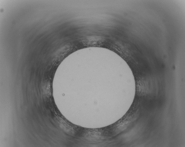 X0000073700820200608101811