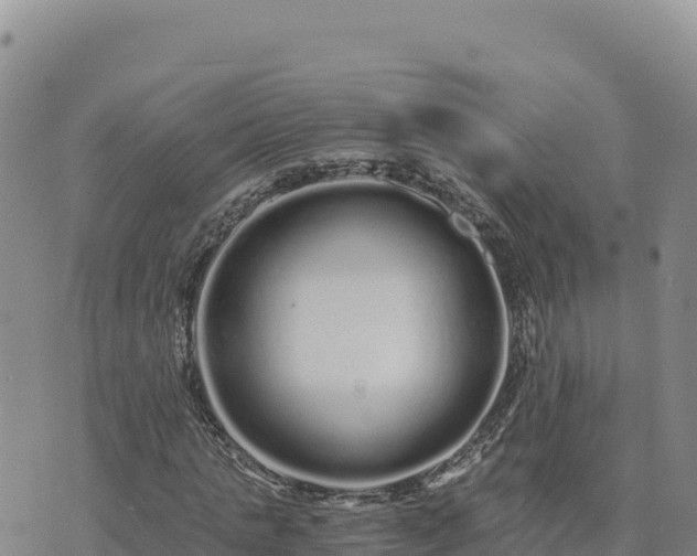 X0000073700821200608101811