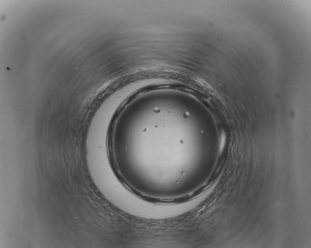 X0000073700822200608101811