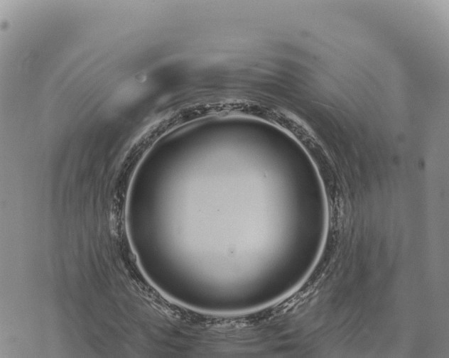 X0000073700823200608101811