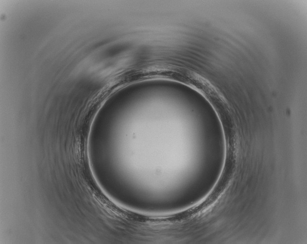 X0000073700825200608101811