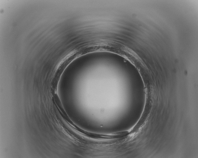 X0000073700826200608101811