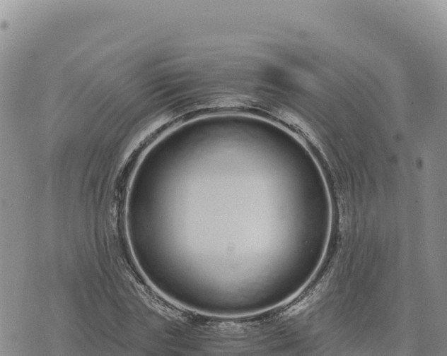 X0000073700827200608101811