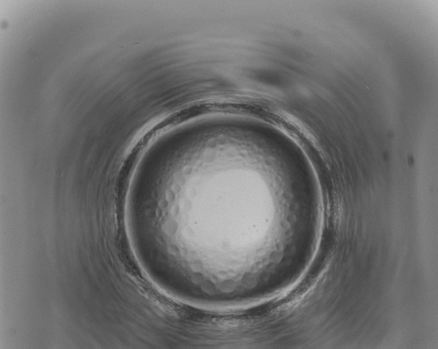 X0000073700829200608101811