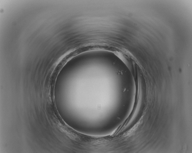 X0000073700830200608101811