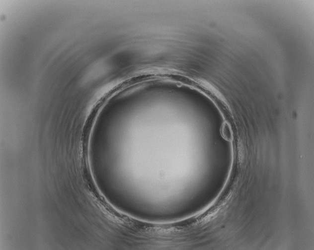 X0000073700831200608101811