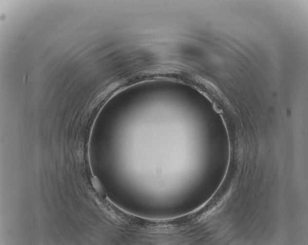 X0000073700833200608101811