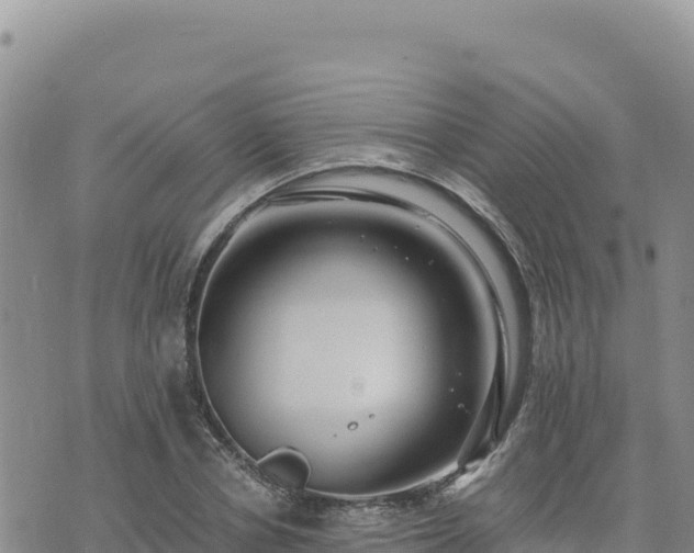 X0000073700834200608101811