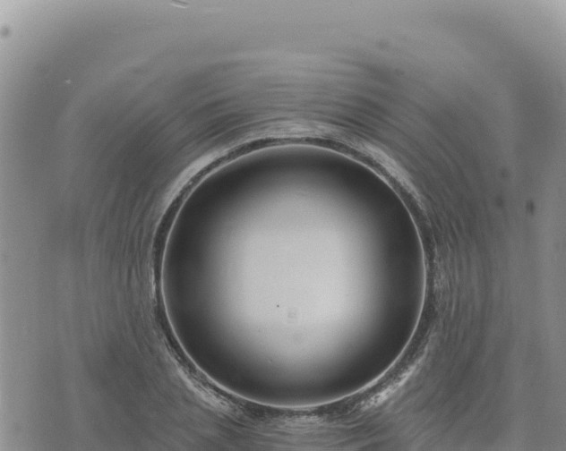 X0000073700837200608101811