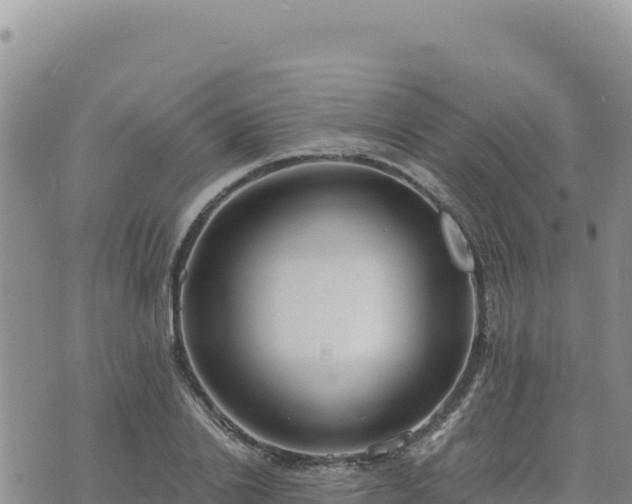 X0000073700838200608101811