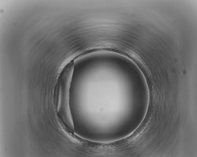 X0000073700842200608101811