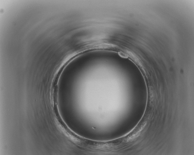 X0000073700843200608101811