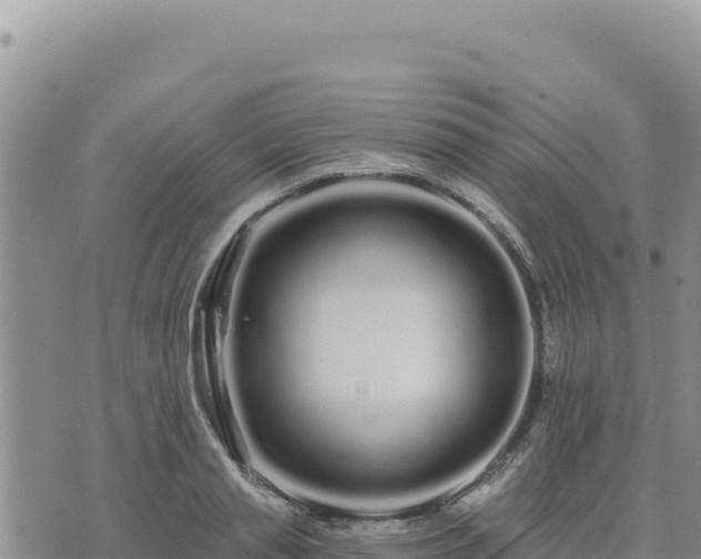 X0000073700845200608101811