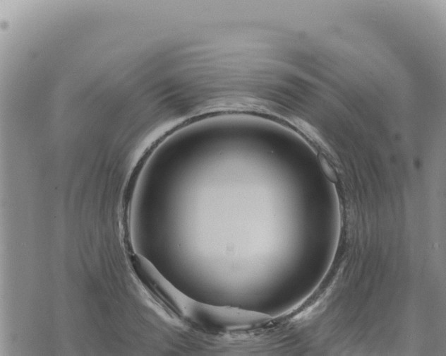 X0000073700846200608101811