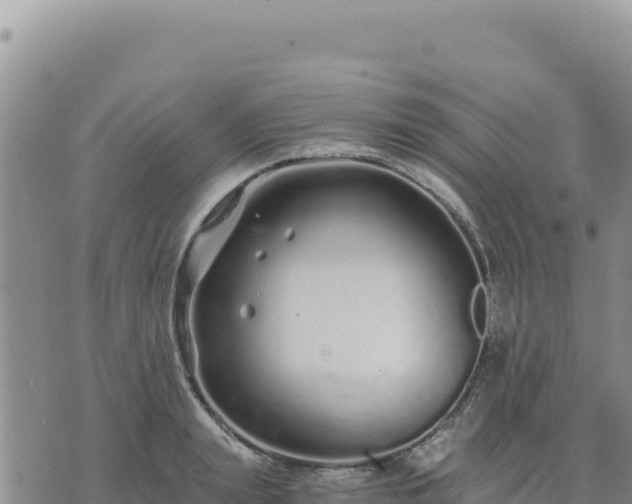 X0000073700847200608101811