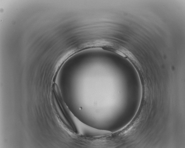 X0000073700850200608101811