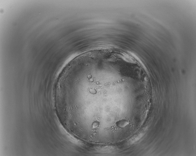 X0000073700851200608101811